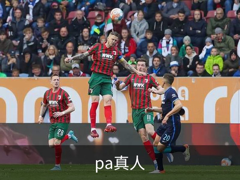 关于pa真人